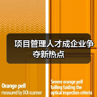项目管理人才成企业争夺新热点(图3) 项目管理人才成企业争夺新热点(图3)