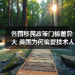 各国移民政策门槛差异大 美国为何偏爱技术人才（图2）