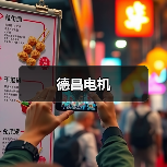 德昌电机（图3）