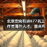 北京定向引进677名工作类海外人才，重点布局哪些新兴行业？（图4）