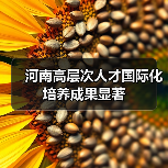 河南高层次人才国际化培养成果显著（图2）