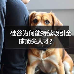 硅谷为何能持续吸引全球顶尖人才？（图4）