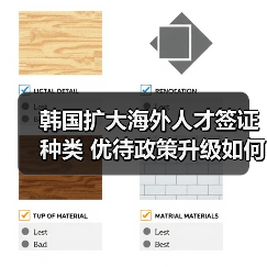 韩国扩大海外人才签证种类 优待政策升级如何影响留才（图3）