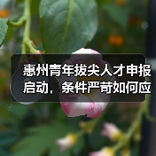 惠州青年拔尖人才申报启动，条件严苛如何应对？（图1）