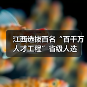 江西选拔百名“百千万人才工程”省级人选（图3）