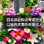 日本政府拟设专项资金 以培养本国乔布斯式人才（图2）