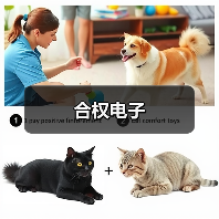 合权电子（图4）
