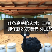 硅谷高薪抢人才:工程师年薪25万美元 外加股权(图2) 硅谷高薪抢人才:工程师年薪25万美元 外加股权(图2)