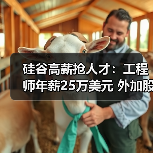硅谷高薪抢人才:工程师年薪25万美元 外加股权(图3) 硅谷高薪抢人才:工程师年薪25万美元 外加股权(图3)