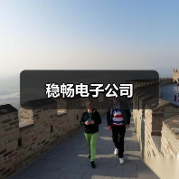 稳畅电子公司（图1）