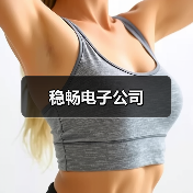 稳畅电子公司（图2）