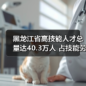 黑龙江省高技能人才总量达40.3万人 占技能劳动者比例(图3) 黑龙江省高技能人才总量达40.3万人 占技能劳动者比例(图3)