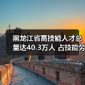 黑龙江省高技能人才总量达40.3万人 占技能劳动者比例(图2) 黑龙江省高技能人才总量达40.3万人 占技能劳动者比例(图2)