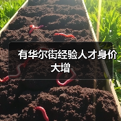 有华尔街经验人才身价大增(图2) 有华尔街经验人才身价大增(图2)