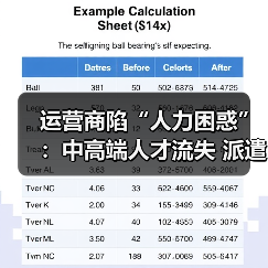 运营商陷“人力困惑”:中高端人才流失 派遣员工裁员(图2) 运营商陷“人力困惑”:中高端人才流失 派遣员工裁员(图2)