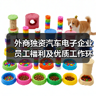 外商独资汽车电子企业员工福利及优质工作环境解析（图1）