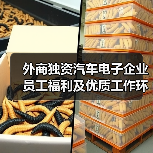 外商独资汽车电子企业员工福利及优质工作环境解析（图2）