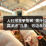 人社部重拳整顿