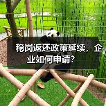 稳岗返还政策延续,企业如何申请?(图4) 稳岗返还政策延续,企业如何申请?(图4)