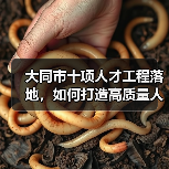 大同市十项人才工程落地，如何打造高质量人才梯队？（图3）