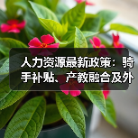 人力资源最新政策：骑手补贴、产教融合及外贸新政解读（图4）