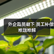 外企裁员潮下 员工补偿难题难解(图4) 外企裁员潮下 员工补偿难题难解(图4)