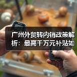 广州外贸转内销政策解析:最高千万元补贴如何落地?(图1) 广州外贸转内销政策解析:最高千万元补贴如何落地?(图1)