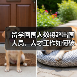 留学回国人数将超出国人员,人才工作如何破局?(图3) 留学回国人数将超出国人员,人才工作如何破局?(图3)