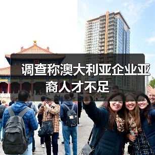 调查称澳大利亚企业亚裔人才不足（图3）