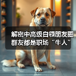 解密中高级白领朋友圈 群友都是职场“牛人”(图4) 解密中高级白领朋友圈 群友都是职场“牛人”(图4)