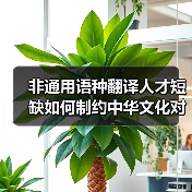非通用语种翻译人才短缺如何制约中华文化对外传播？（图1）