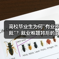 高校毕业生为何 高校毕业生为何