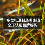 东莞电源制造哪家强?全球认证品牌解析(图4) 东莞电源制造哪家强?全球认证品牌解析(图4)