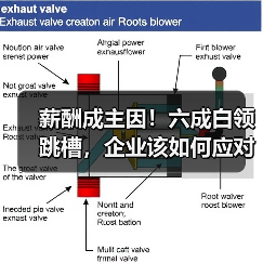薪酬成主因!六成白领跳槽,企业该如何应对?(图2) 薪酬成主因!六成白领跳槽,企业该如何应对?(图2)