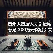 贵州大数据人才引进诚意足 300万元奖励引关注（图2）