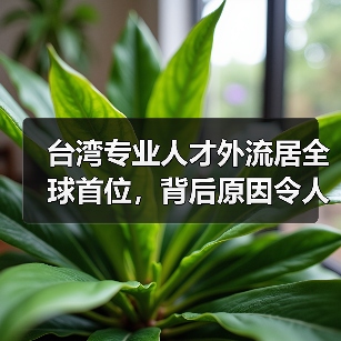 台湾专业人才外流居全球首位,背后原因令人深思(图3) 台湾专业人才外流居全球首位,背后原因令人深思(图3)