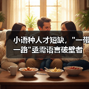 小语种人才短缺, 小语种人才短缺,