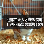成都四大人才新政落地!创业新星最高获20万资助(图2) 成都四大人才新政落地!创业新星最高获20万资助(图2)