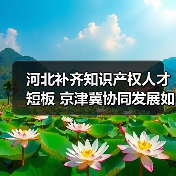 河北补齐知识产权人才短板 京津冀协同发展如何发力?(图4) 河北补齐知识产权人才短板 京津冀协同发展如何发力?(图4)
