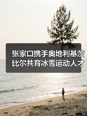 张家口携手奥地利基茨比尔共育冰雪运动人才(图3) 张家口携手奥地利基茨比尔共育冰雪运动人才(图3)