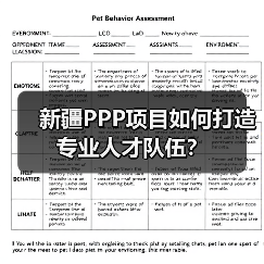 新疆PPP项目如何打造专业人才队伍?(图4) 新疆PPP项目如何打造专业人才队伍?(图4)