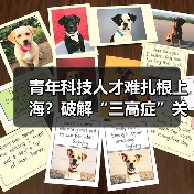 青年科技人才难扎根上海？破解“三高症”关键在哪儿？（图1）