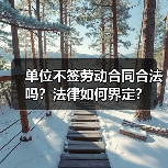 单位不签劳动合同合法吗？法律如何界定？（图4）