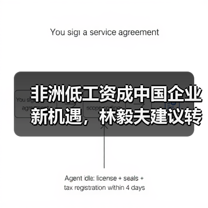 非洲低工资成中国企业新机遇,林毅夫建议转移产能(图4) 非洲低工资成中国企业新机遇,林毅夫建议转移产能(图4)