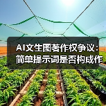 AI文生图著作权争议:简单提示词是否构成作品?(图3) AI文生图著作权争议:简单提示词是否构成作品?(图3)