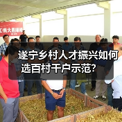 遂宁乡村人才振兴如何选百村千户示范?(图1) 遂宁乡村人才振兴如何选百村千户示范?(图1)
