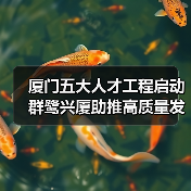 厦门五大人才工程启动 群鹭兴厦助推高质量发展(图2) 厦门五大人才工程启动 群鹭兴厦助推高质量发展(图2)