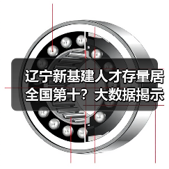 辽宁新基建人才存量居全国第十？大数据揭示供需现状与未来趋势（图4）