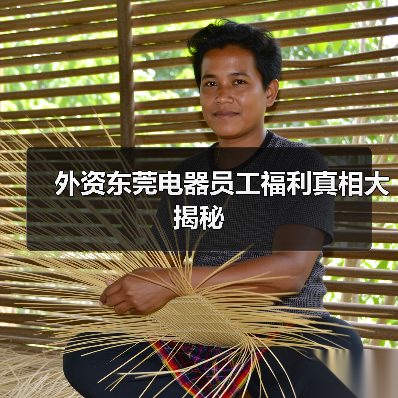 外资东莞电器员工福利真相大揭秘(图3) 外资东莞电器员工福利真相大揭秘(图3)