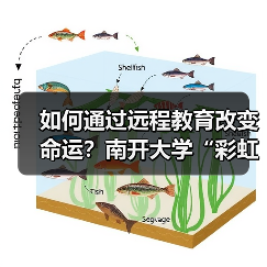 如何通过远程教育改变命运?南开大学“彩虹桥计划”助力农村青年成长(图2) 如何通过远程教育改变命运?南开大学“彩虹桥计划”助力农村青年成长(图2)